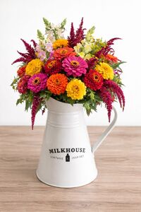 Wed July 8 Milkhouse Pitcher 6 pm at Altruist Brewing Company  260708181